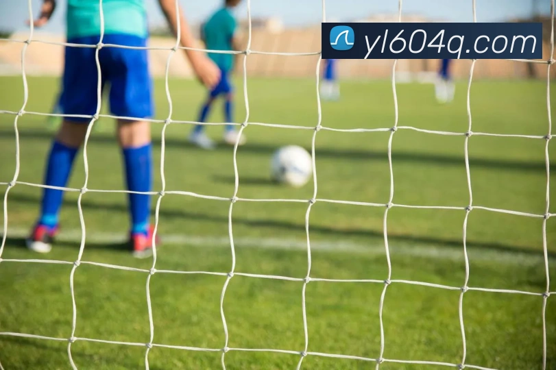 平台展示图